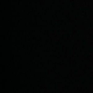 Meet your Posher, Bill